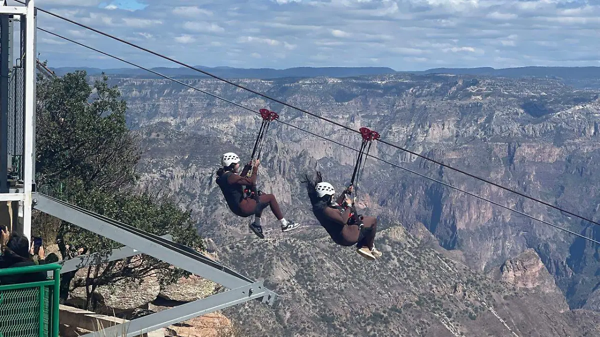 WhatsApp Image 2025-12-19 at 11.33.14 AM