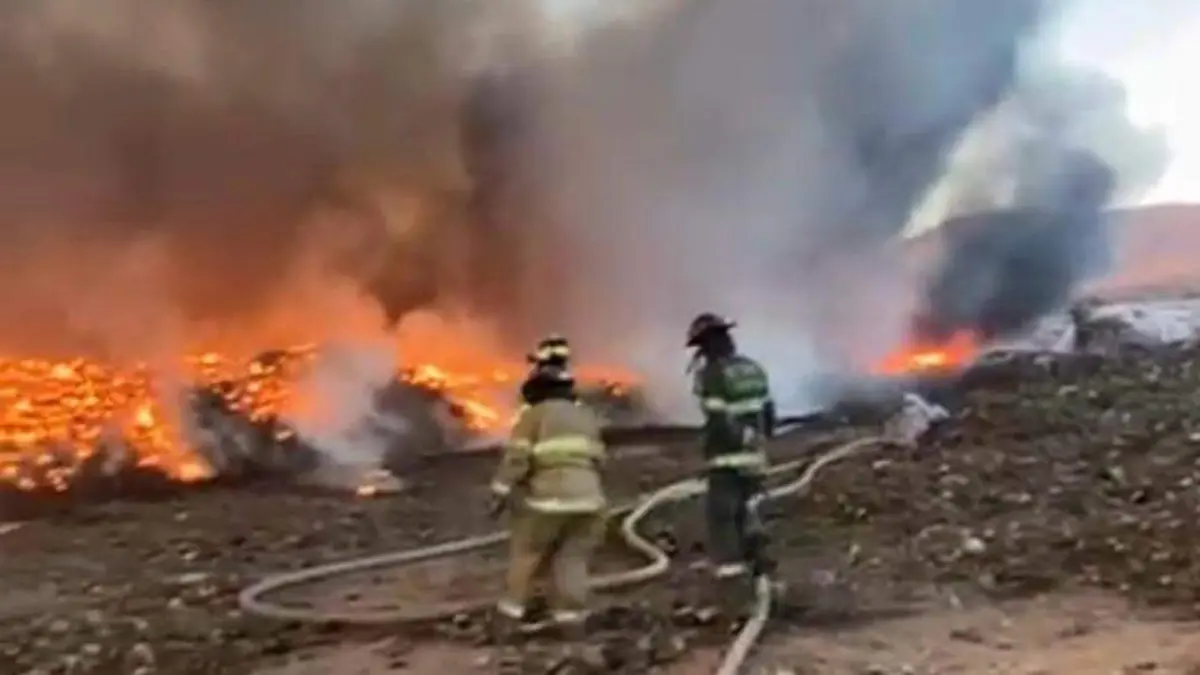 WhatsApp Image 2025-12-20 at 1.10.56 PM