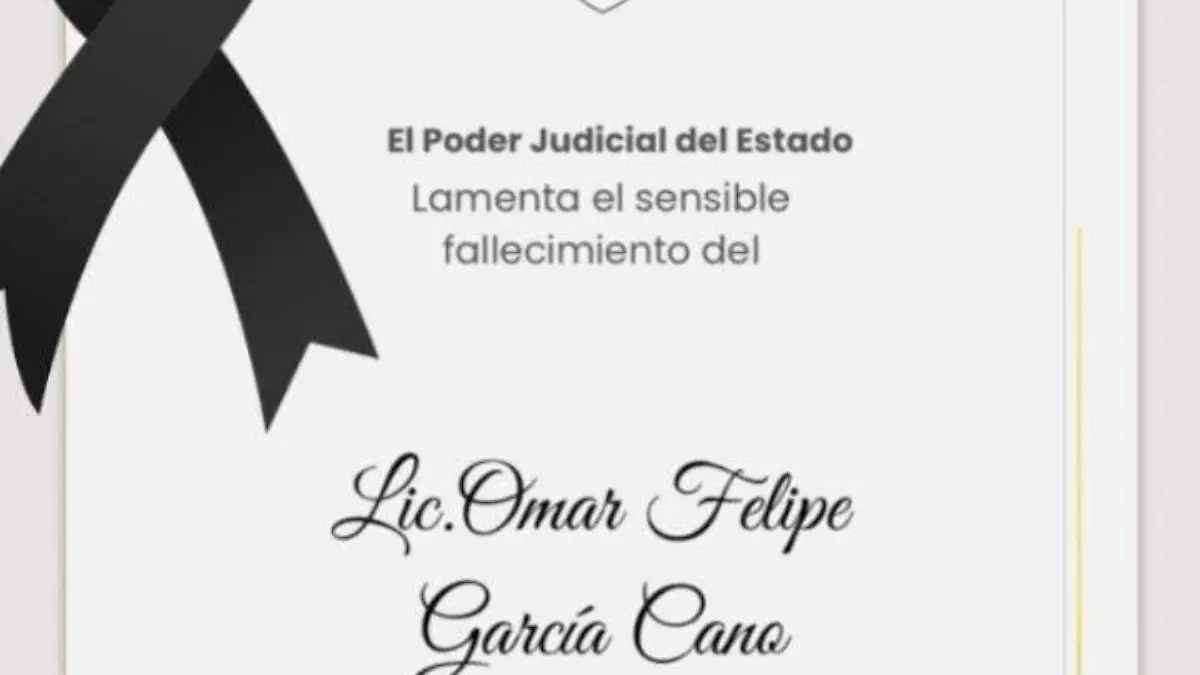 WhatsApp Image 2025-12-20 at 2.19.44 PM