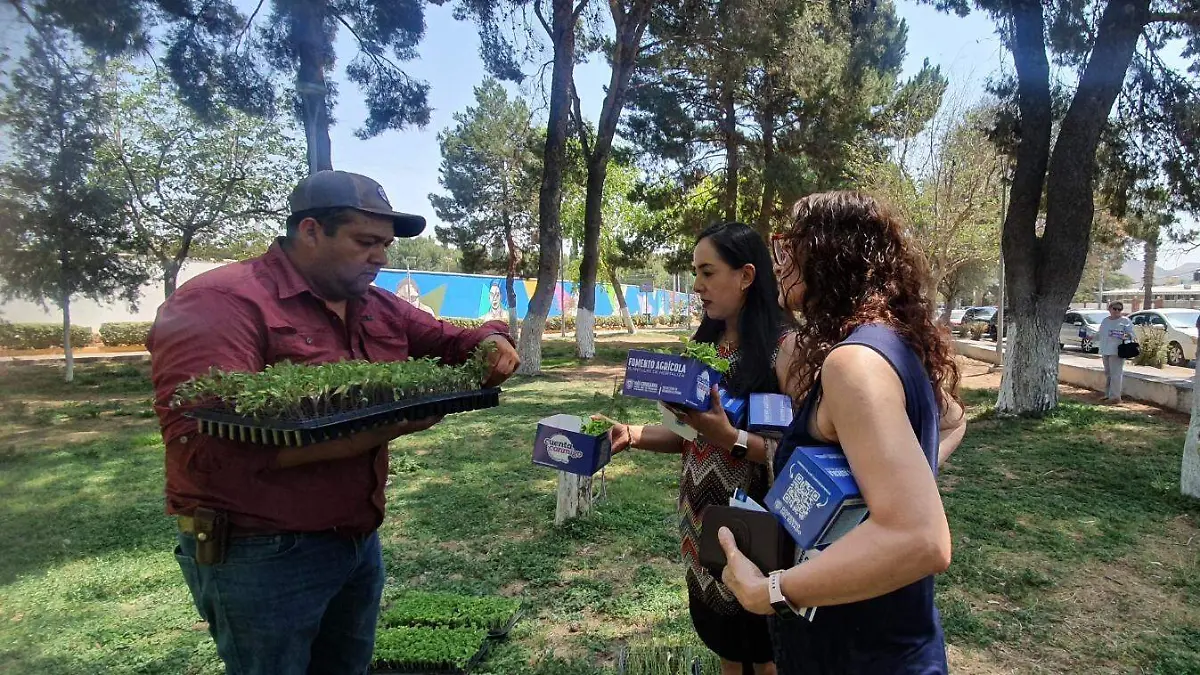entrega desarrollo rural
