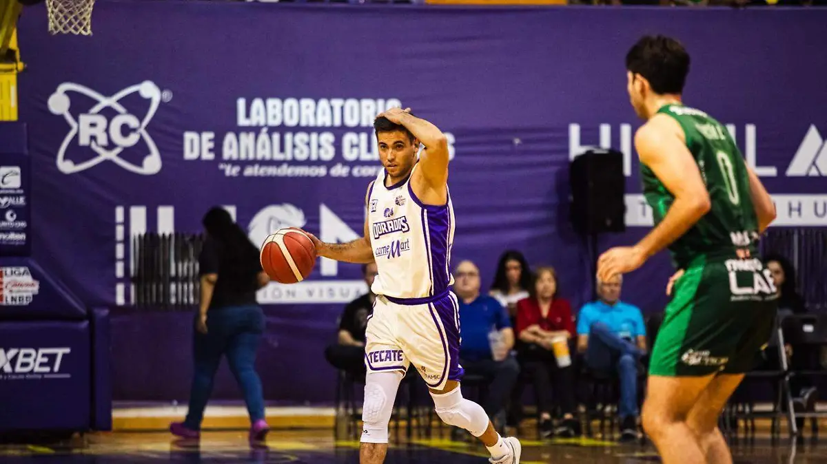 WhatsApp Image 2025-12-23 at 12.13.50 PM