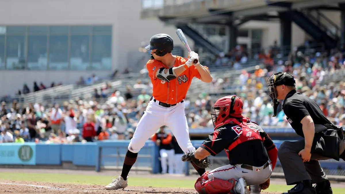 WhatsApp Image 2025-12-23 at 12.19.02 PM