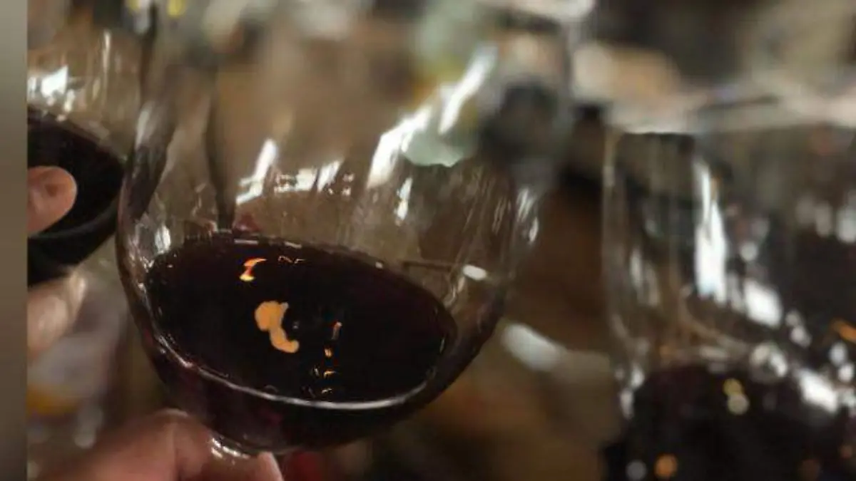 WhatsApp Image 2025-12-23 at 10.01.22 AM