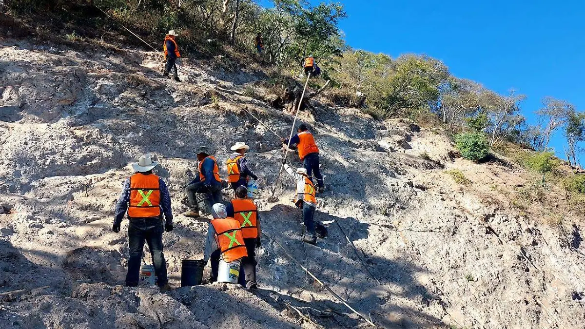 WhatsApp Image 2025-12-23 at 3.45.28 PM