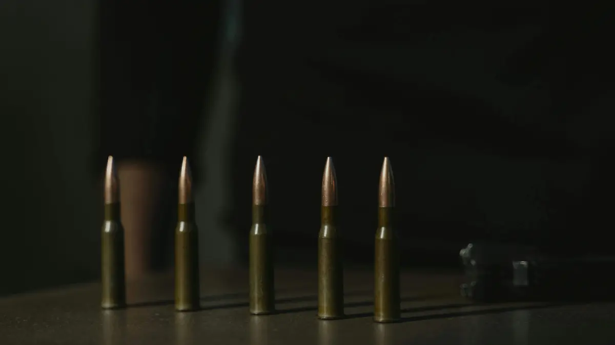 pexels-tima-miroshnichenko-6091294