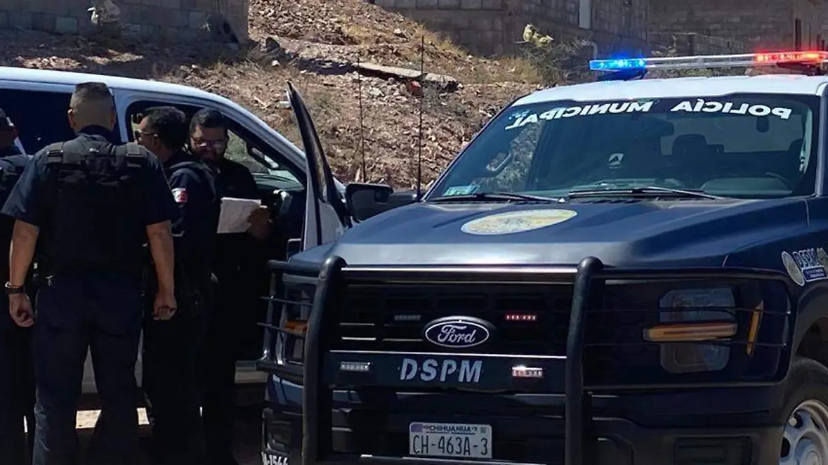 2ae4ed82-ca96-4ad3-8673-496594754d65