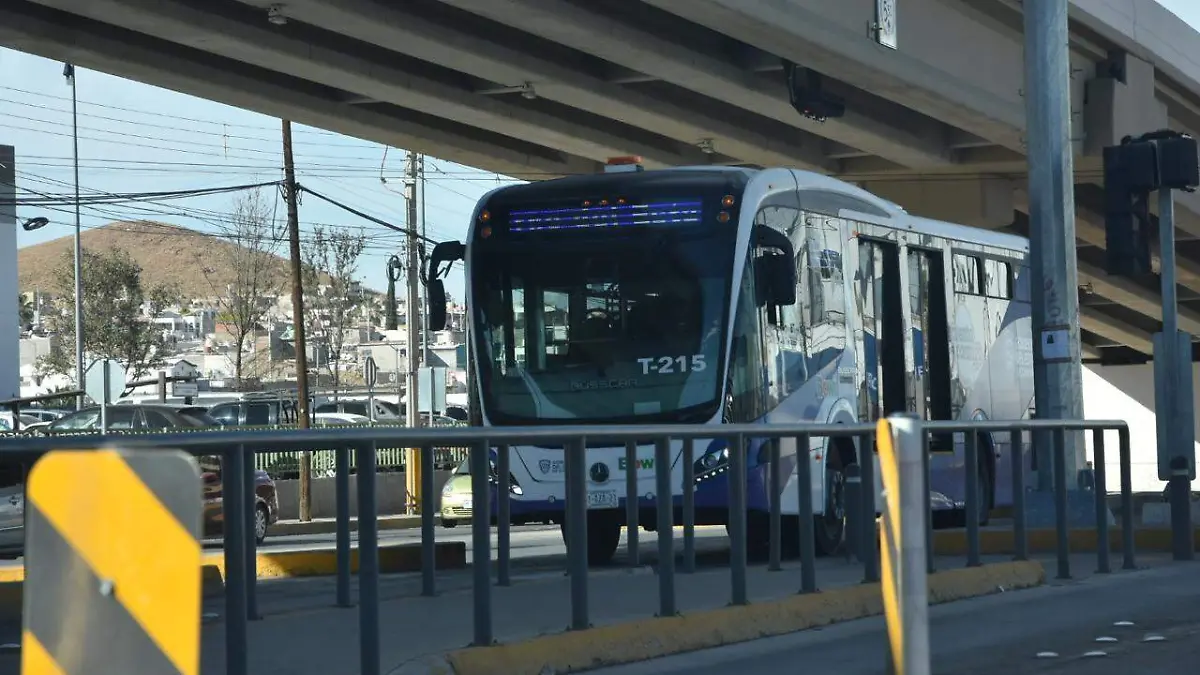 WhatsApp Image 2025-12-27 at 11.01.16 AM (1)