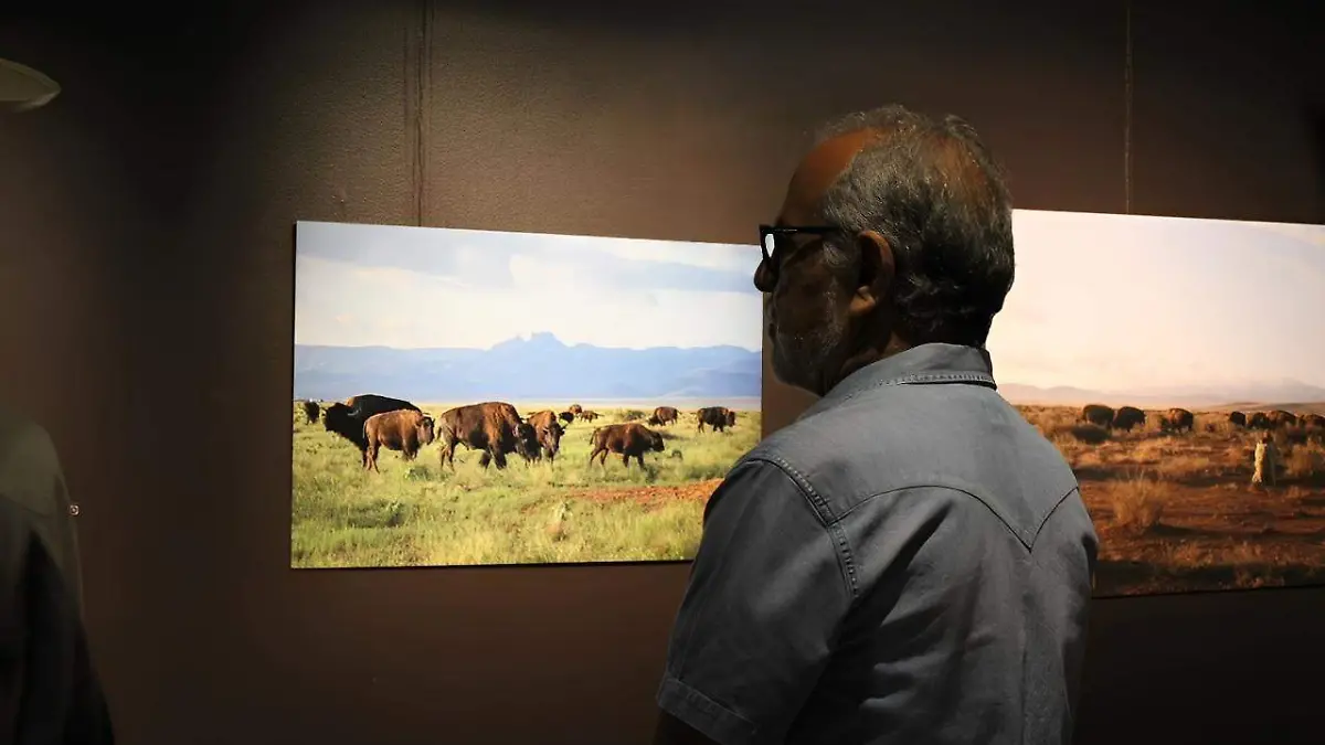 WhatsApp Image 2025-12-27 at 11.06.24 AM (1)