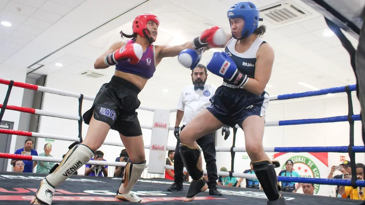 b0736346-826f-4d95-a44f-3865730c8100