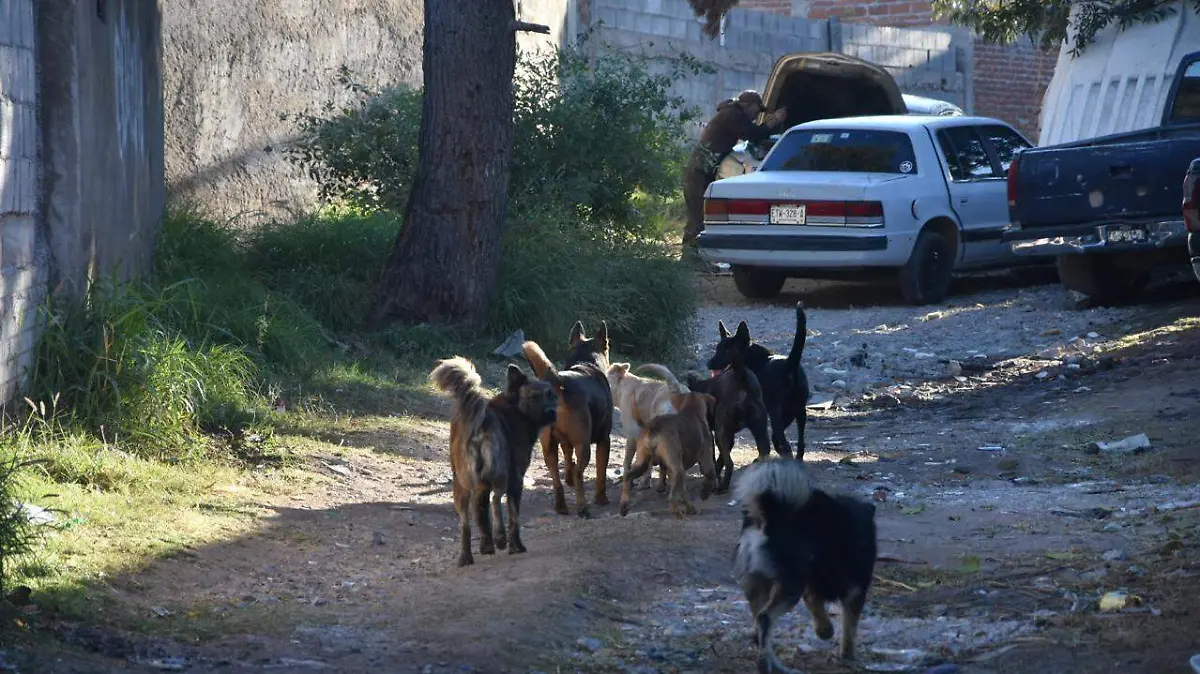 WhatsApp Image 2025-12-27 at 3.21.42 PM