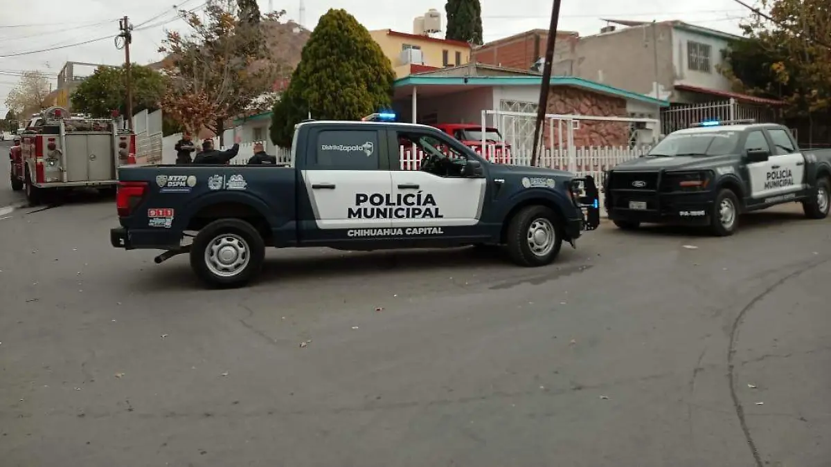 WhatsApp Image 2025-12-29 at 11.32.21 AM