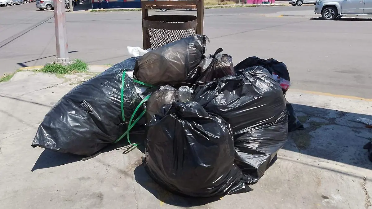 Bolsas de basura