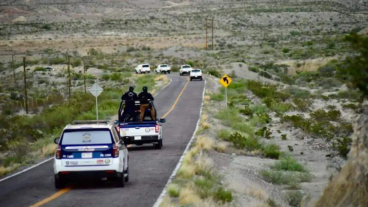 WhatsApp Image 2025-12-29 at 3.44.05 PM (1)