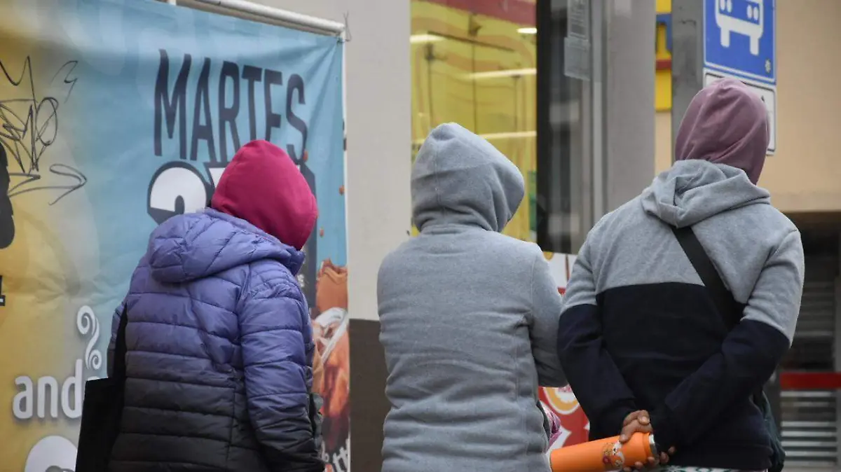 WhatsApp Image 2025-12-30 at 1.17.54 PM