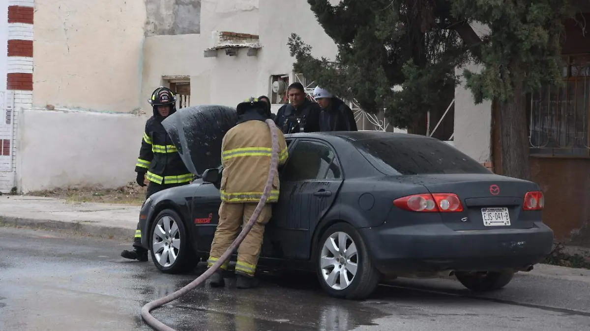 WhatsApp Image 2025-12-30 at 2.06.37 PM