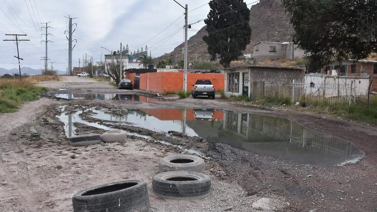 WhatsApp Image 2025-12-30 at 3.15.56 PM