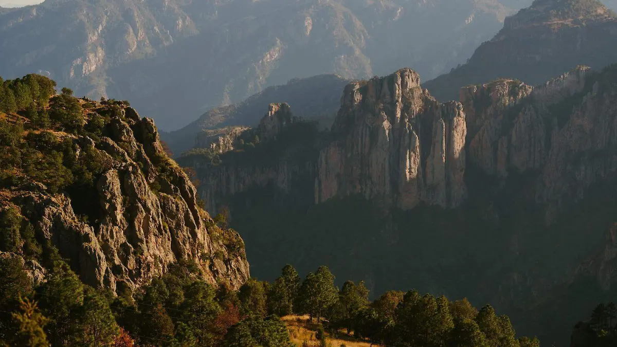 WhatsApp Image 2025-12-30 at 9.24.06 PM