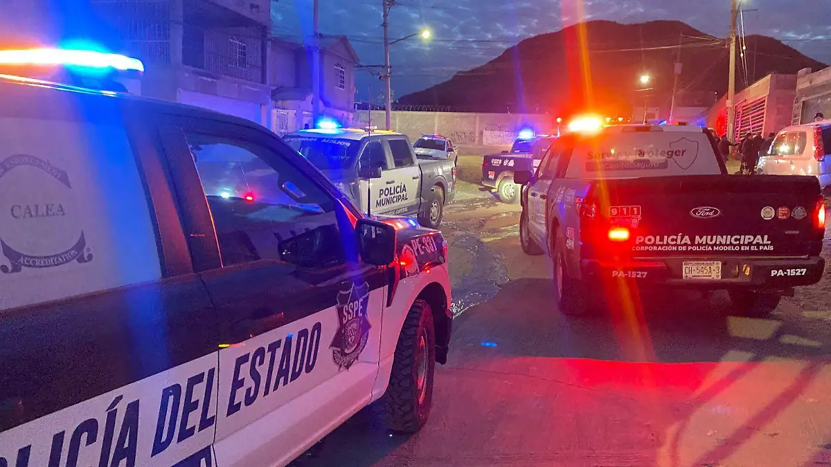 WhatsApp Image 2025-12-31 at 7.13.26 PM