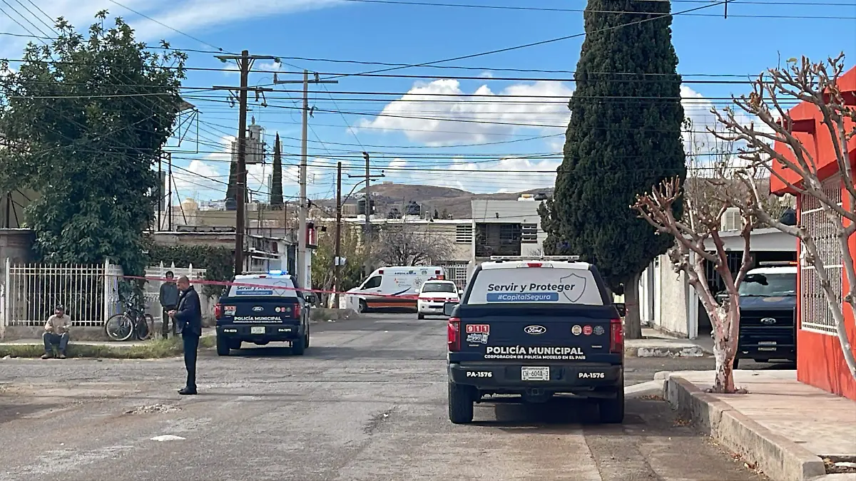 ccaddf46-3720-44a5-8daa-ec593d332663