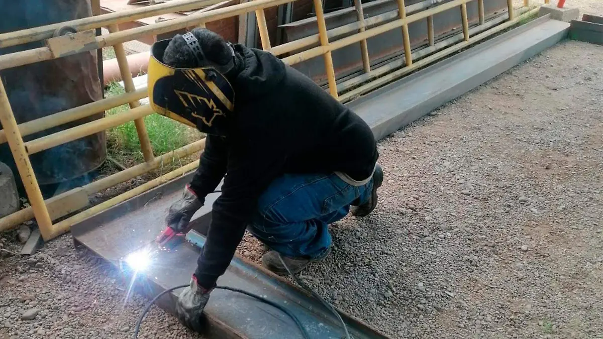 WhatsApp Image 2026-01-01 at 10.04.35 AM