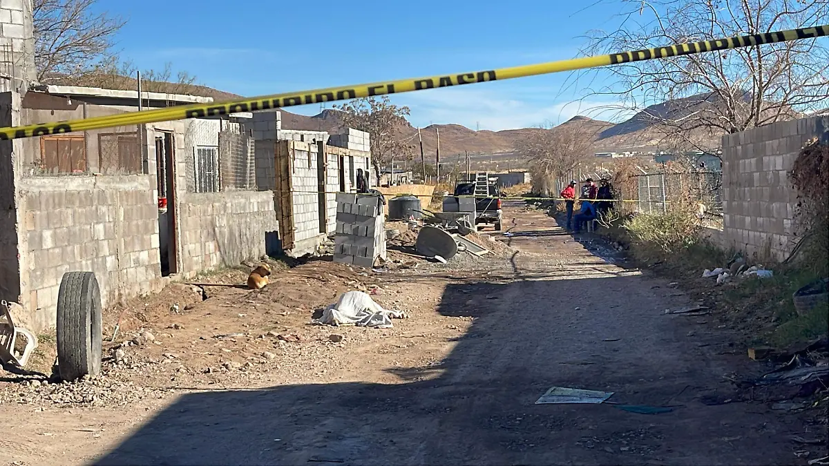 54d8eb6b-659d-4972-8e3b-2ef78b742ed9