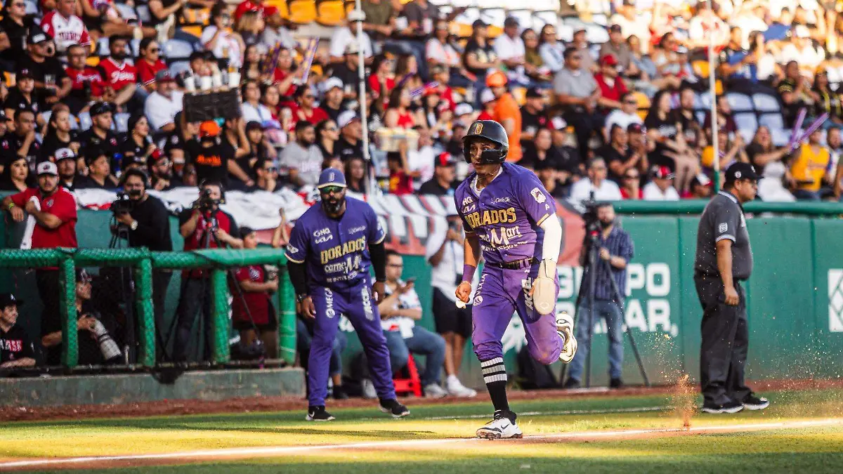 Dorados 