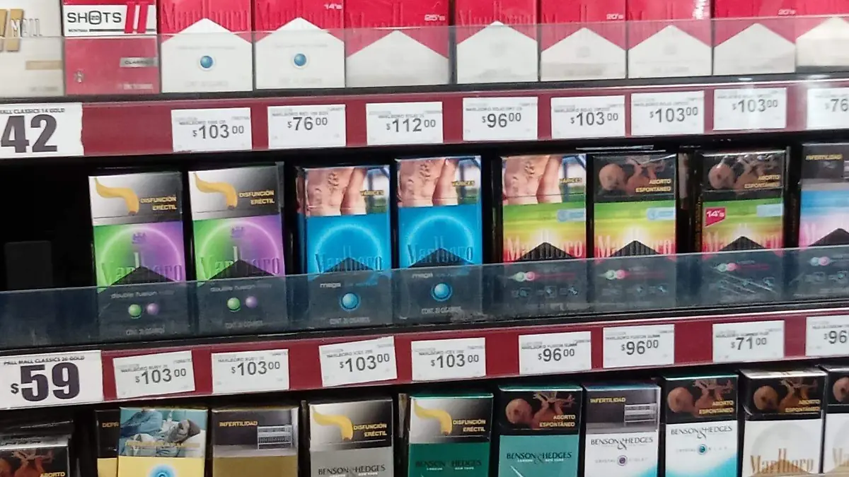 WhatsApp Image 2026-01-02 at 4.01.32 PM