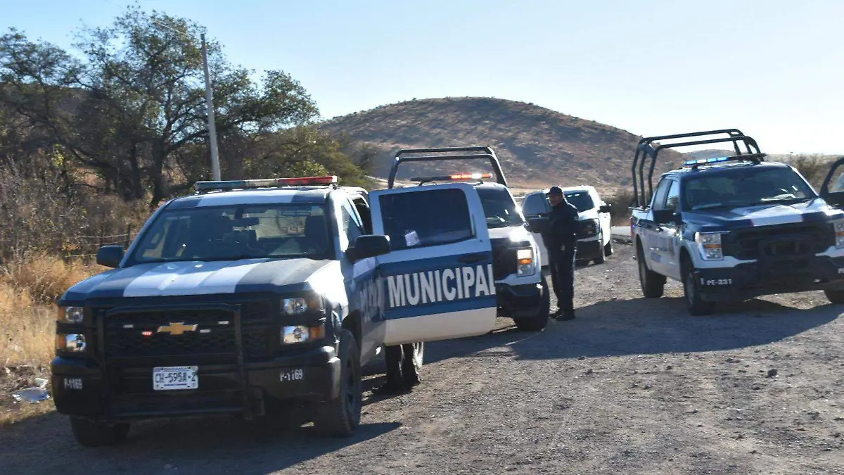 WhatsApp Image 2026-01-03 at 10.13.04 AM (1)