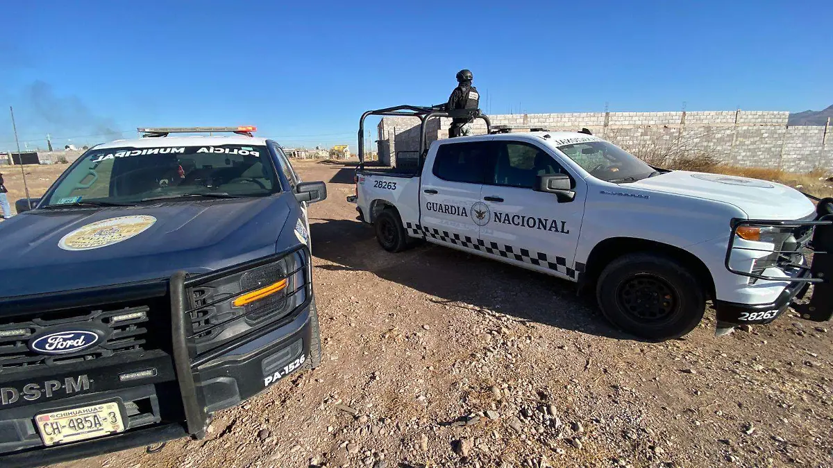 WhatsApp Image 2026-01-03 at 10.43.13 AM