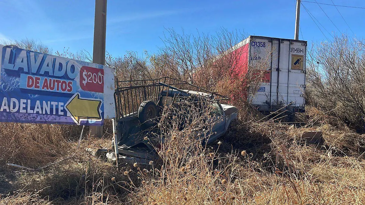 WhatsApp Image 2026-01-03 at 12.44.38 PM