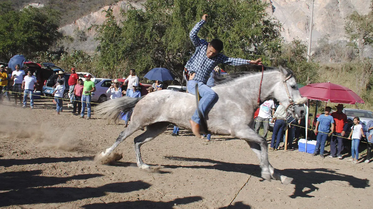 586922_Carrera Caballos_impreso