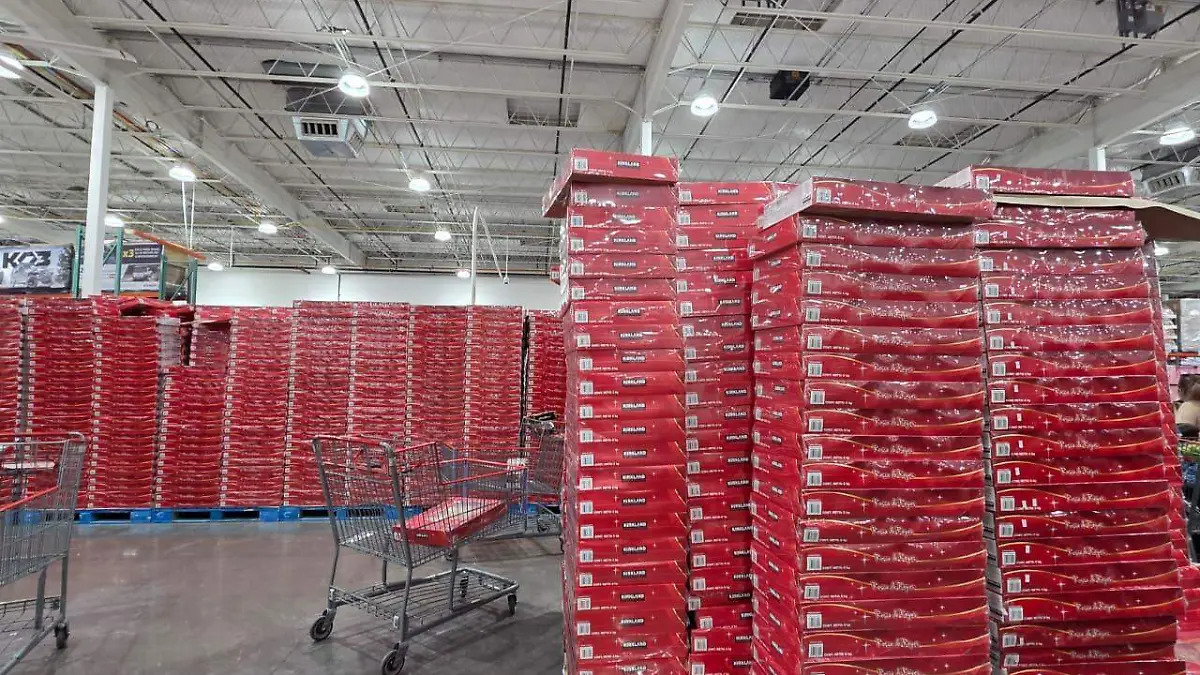 WhatsApp Image 2026-01-04 at 10.10.58 AM