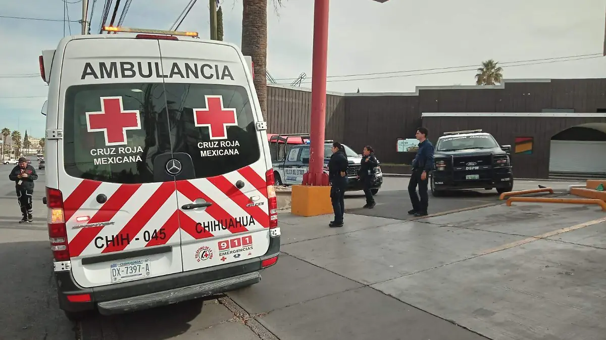 WhatsApp Image 2026-01-04 at 12.21.05 PM