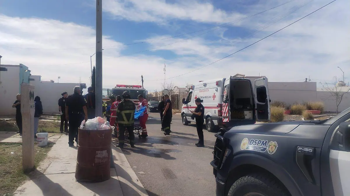 WhatsApp Image 2026-01-04 at 1.48.52 PM