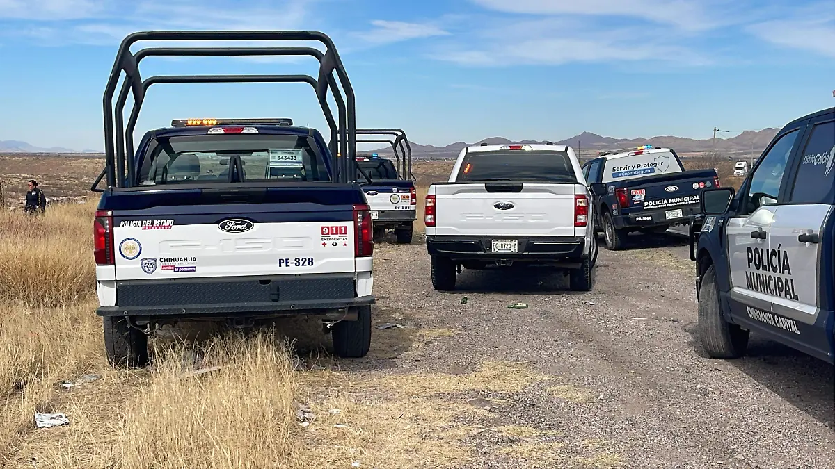 47a2fe48-2dae-4f3b-8c0e-07386650a226