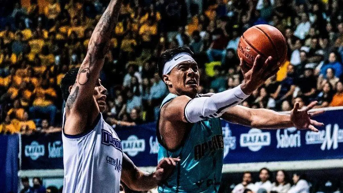 WhatsApp Image 2026-01-03 at 3.38.48 PM (1)