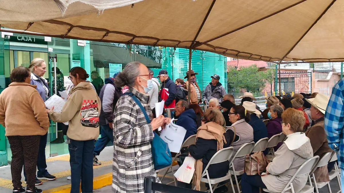 WhatsApp Image 2026-01-05 at 9.00.24 AM