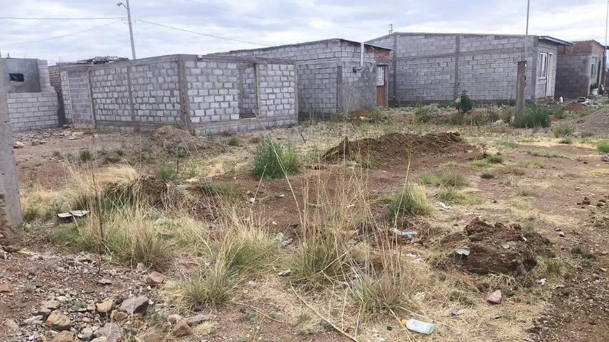 terreno bicentenario