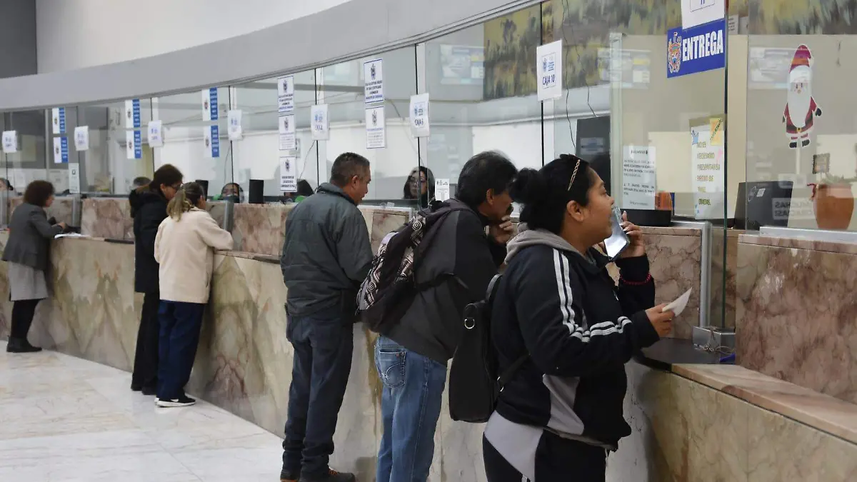 WhatsApp Image 2026-01-05 at 10.08.33 AM