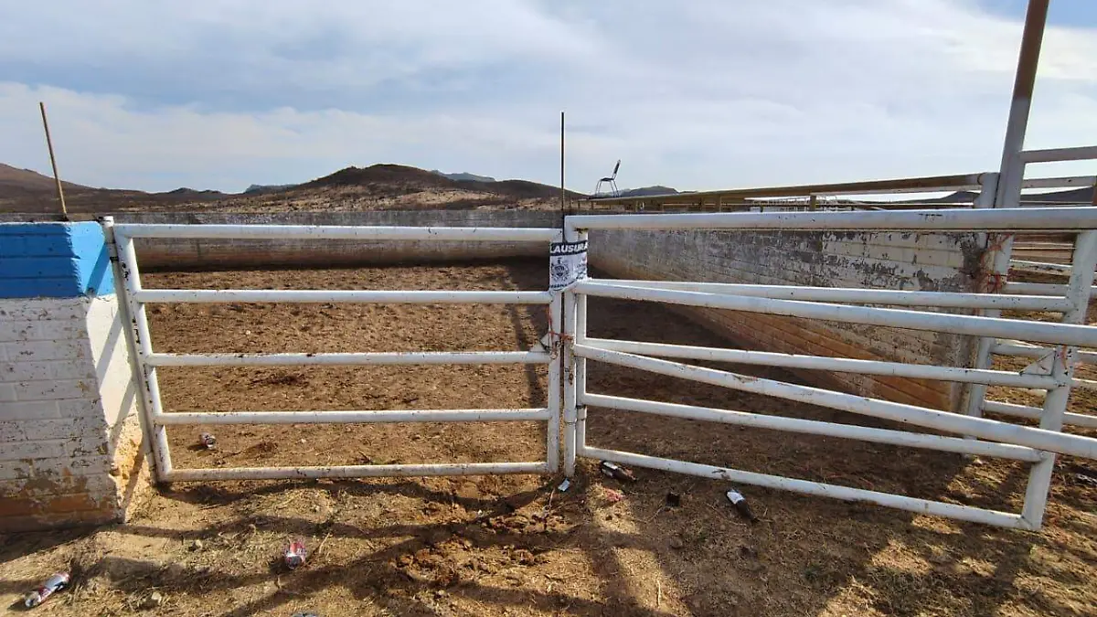 WhatsApp Image 2026-01-05 at 12.32.44 PM