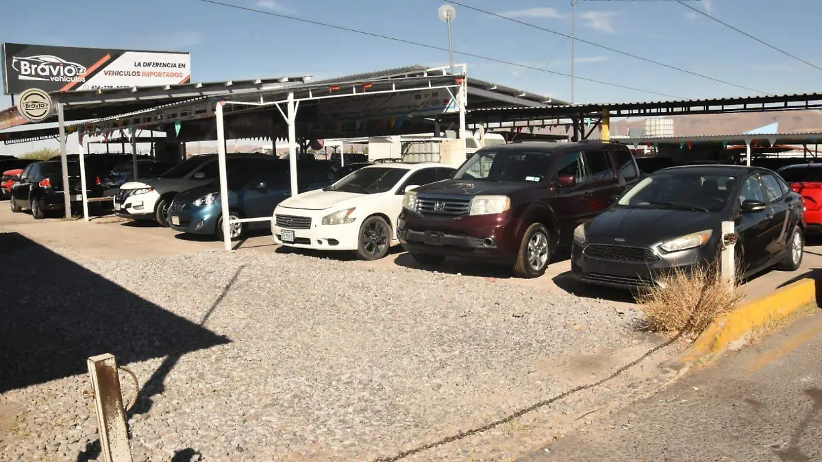 WhatsApp Image 2026-01-06 at 2.36.00 PM