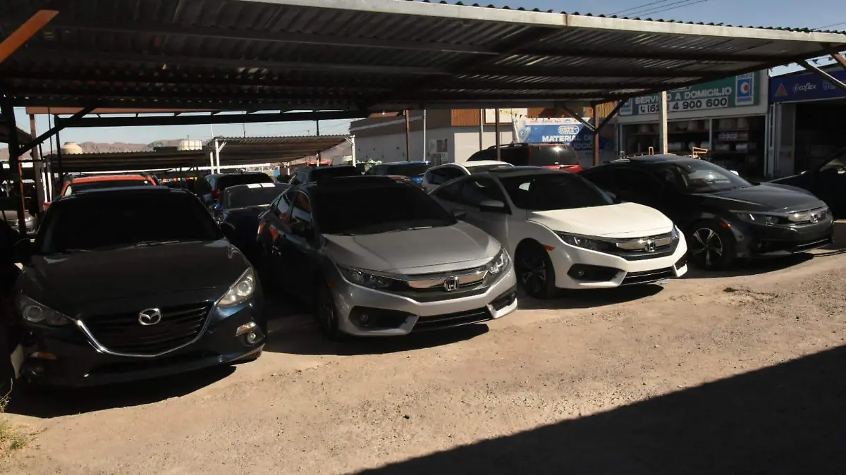 WhatsApp Image 2026-01-06 at 2.36.01 PM