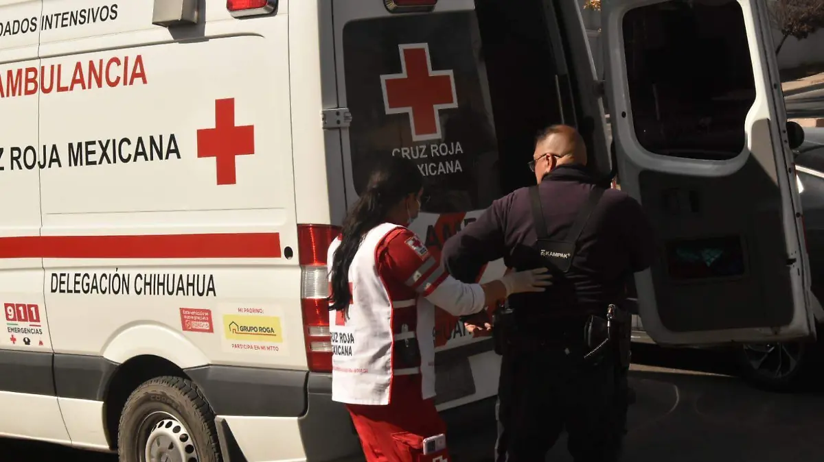 WhatsApp Image 2026-01-06 at 2.54.33 PM