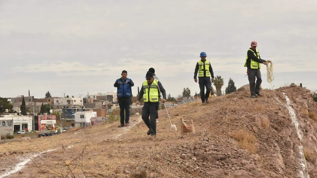 WhatsApp Image 2026-01-07 at 12.54.53 PM