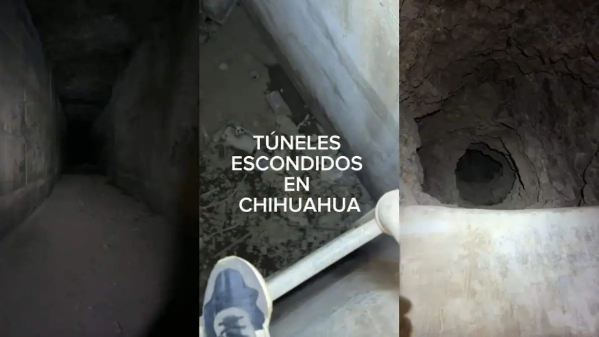 WhatsApp Image 2026-01-07 at 2.30.33 PM