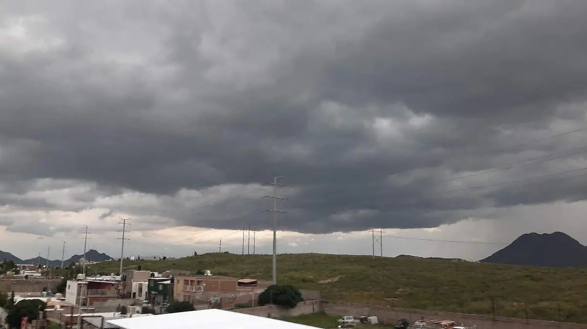 WhatsApp Image 2026-01-08 at 1.22.19 PM