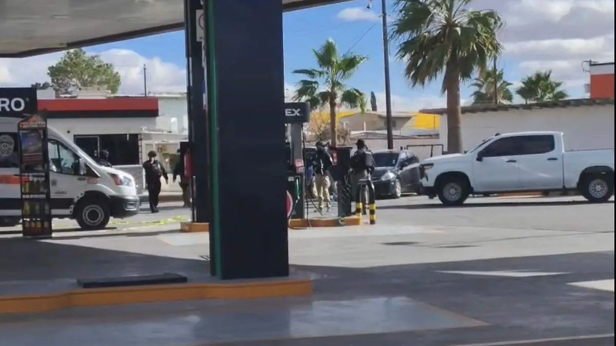 WhatsApp Image 2026-01-08 at 3.19.26 PM