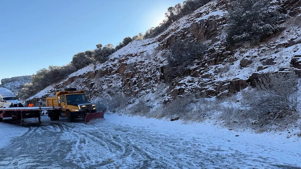 WhatsApp Image 2026-01-09 at 12.20.34 PM (1)