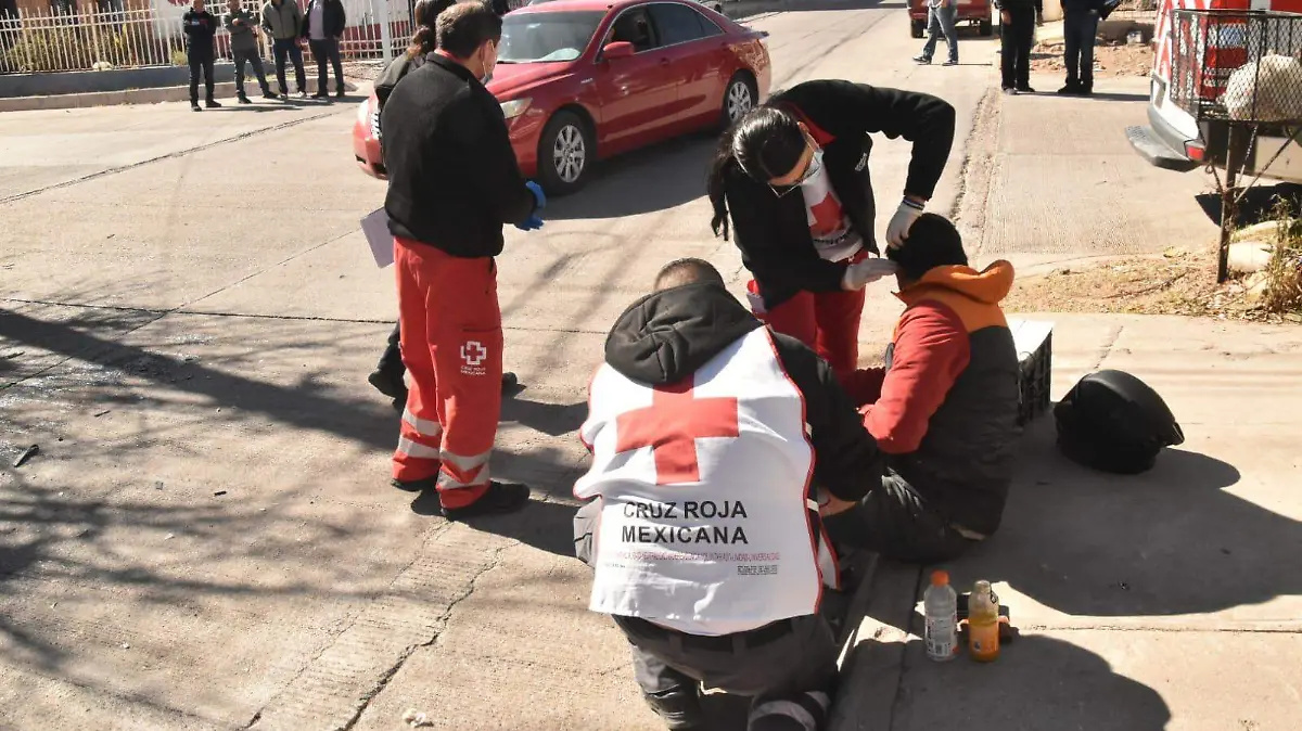 WhatsApp Image 2026-01-09 at 12.29.24 PM