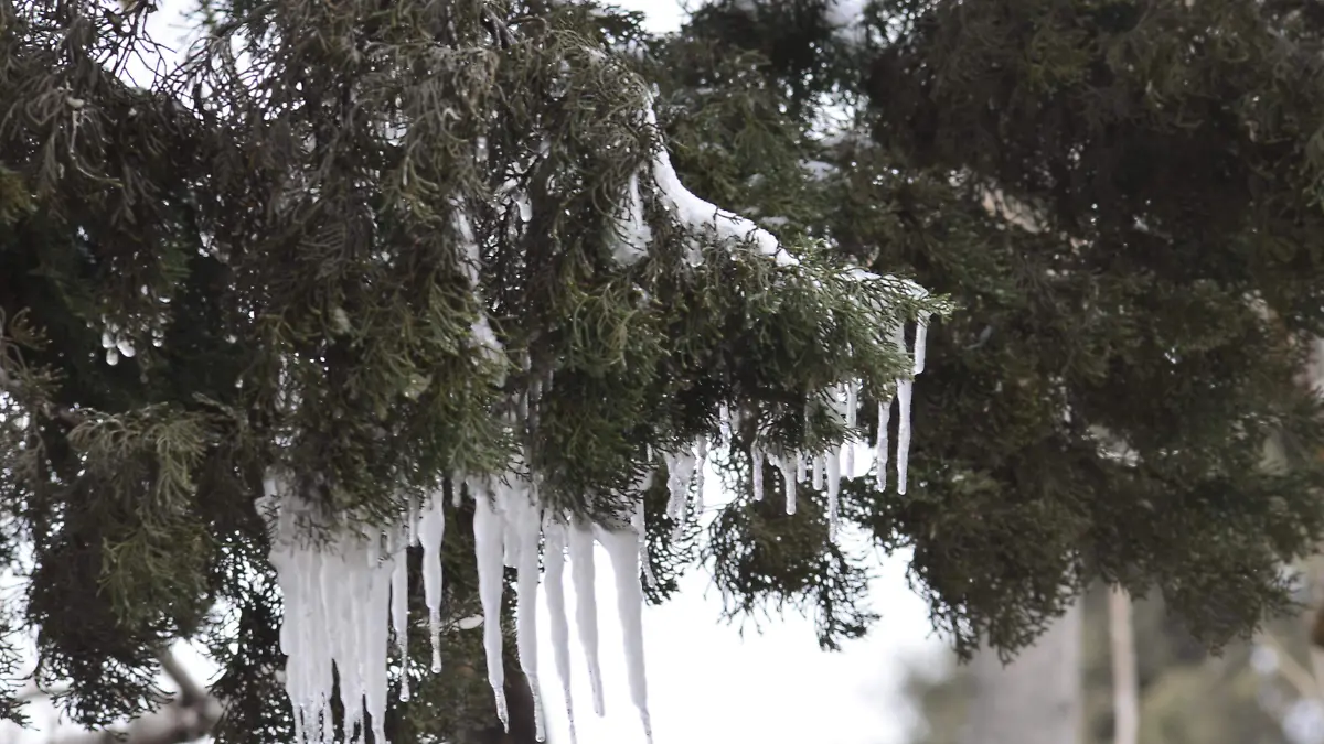 Helada frío hielo invierno